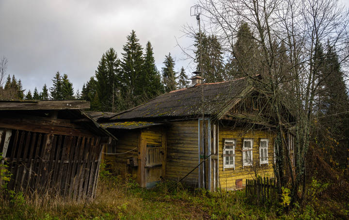 Сирота
