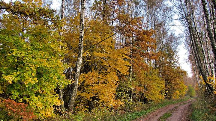 Осень