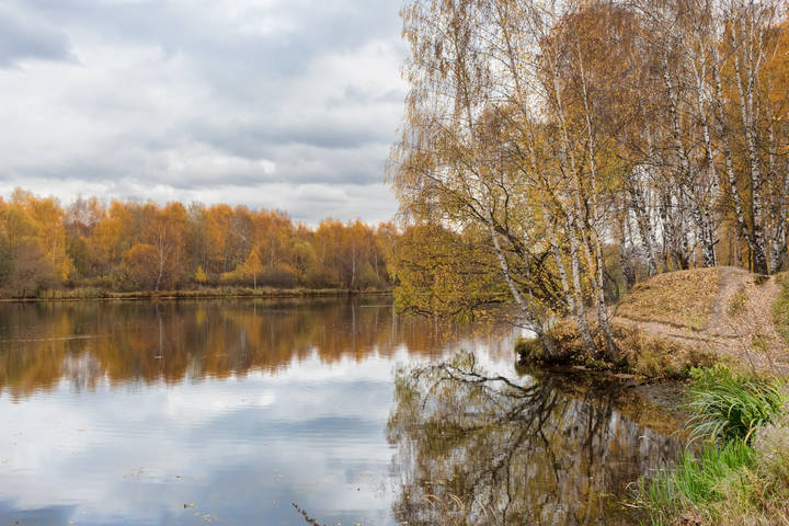 Тишина