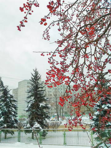 Декабрь
