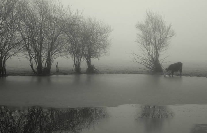 Водопой...