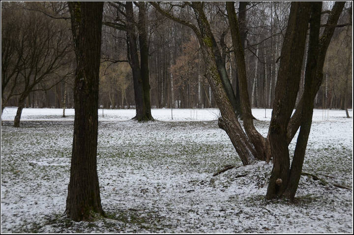 В парке