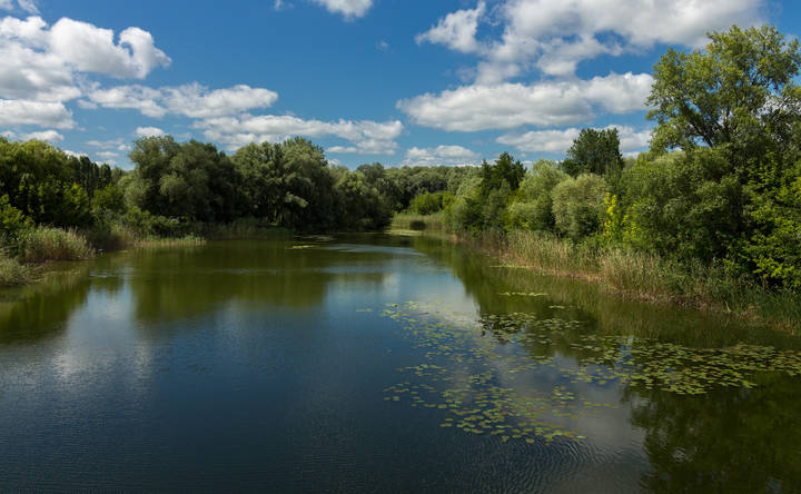 Хорол