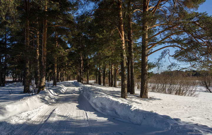 Первый день весны