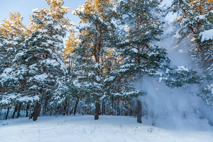 Зимний пейзаж
