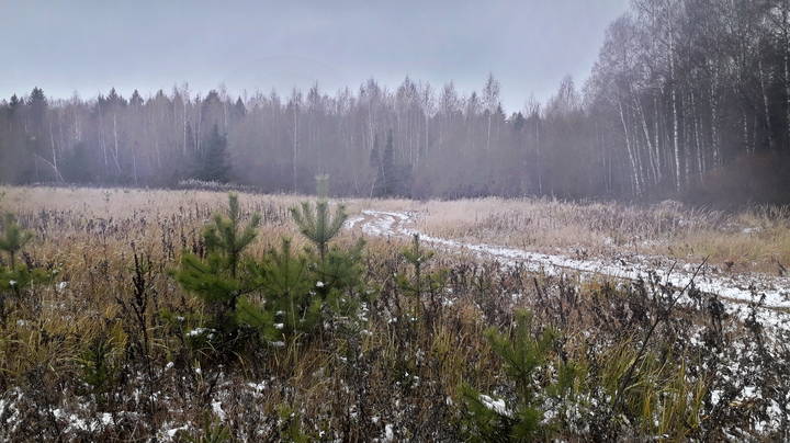 Поздняя осень