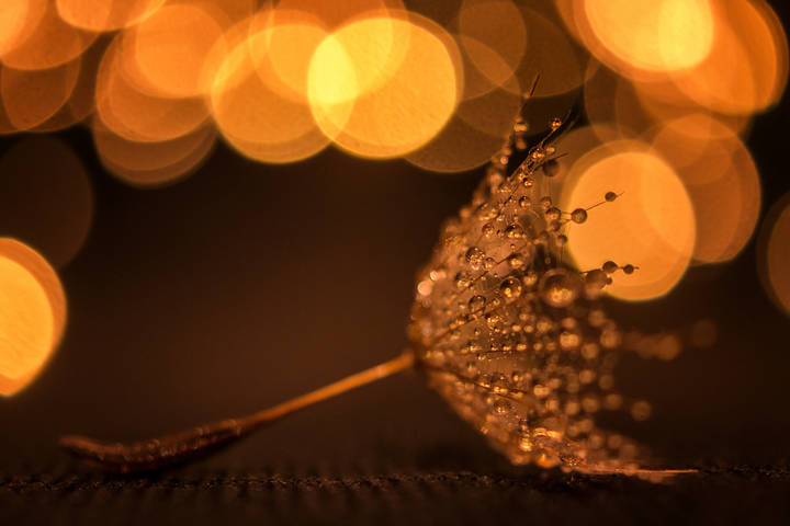 Drops.