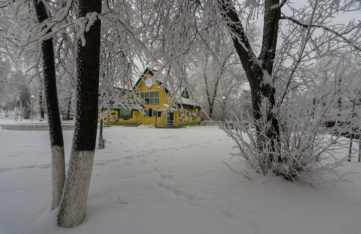Зима в городе