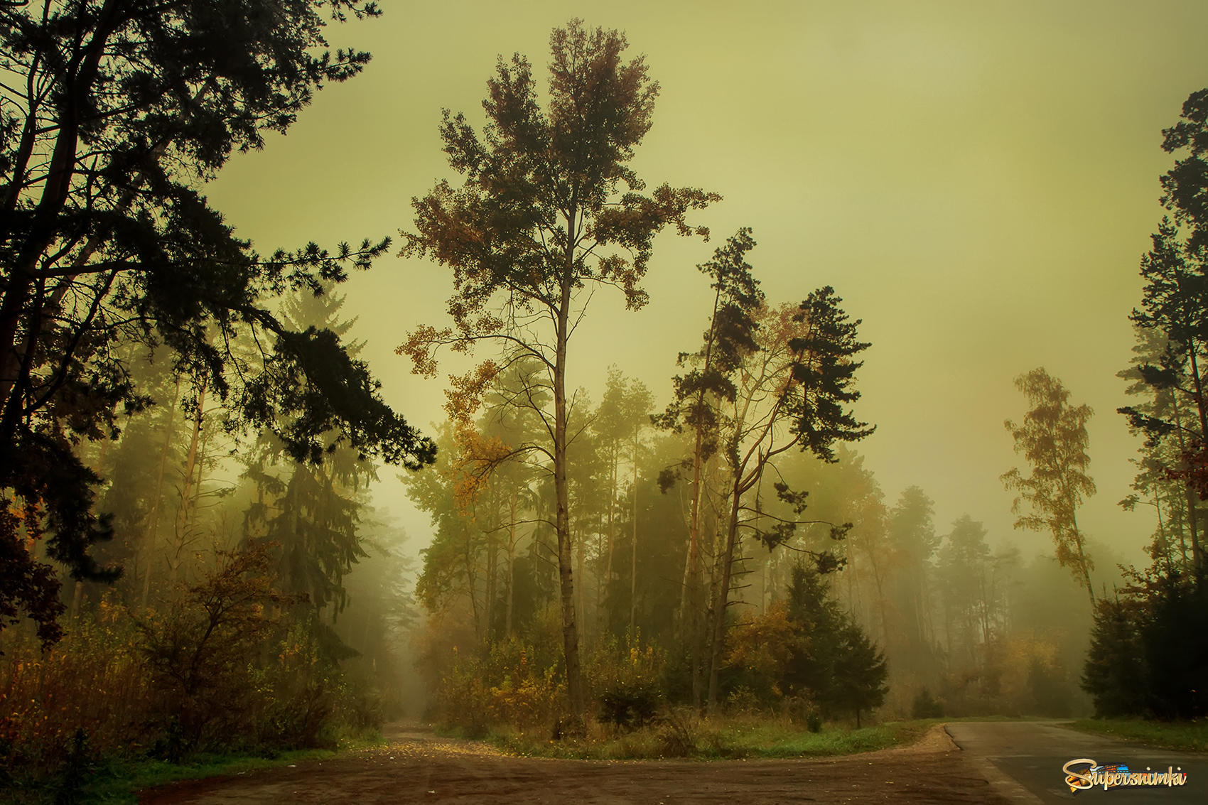 Туман в осенних лесав