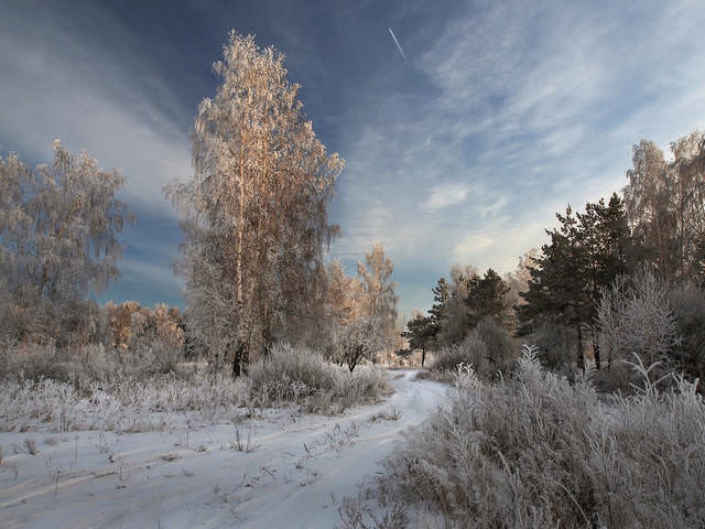 Устремлённость