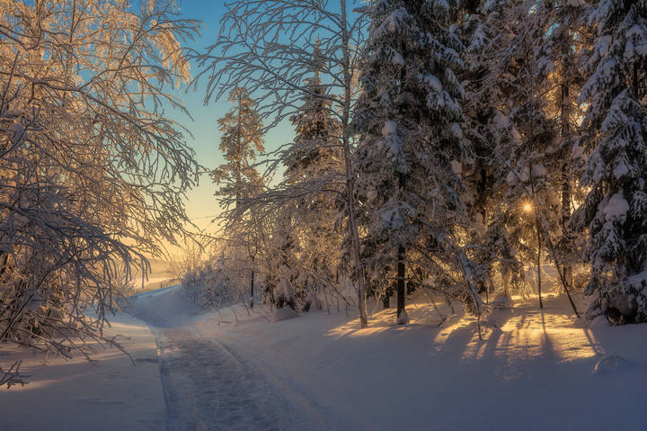Луч света