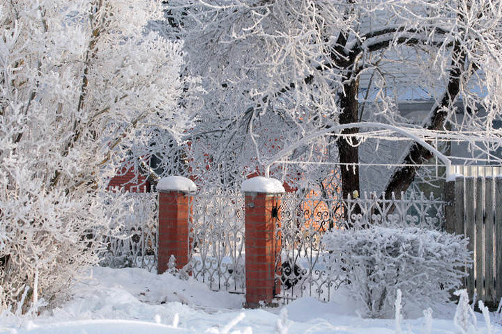 Снежное кружево
