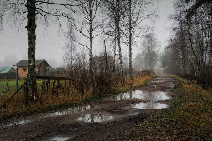 Средь берез и сосен тихо бродит...осень
