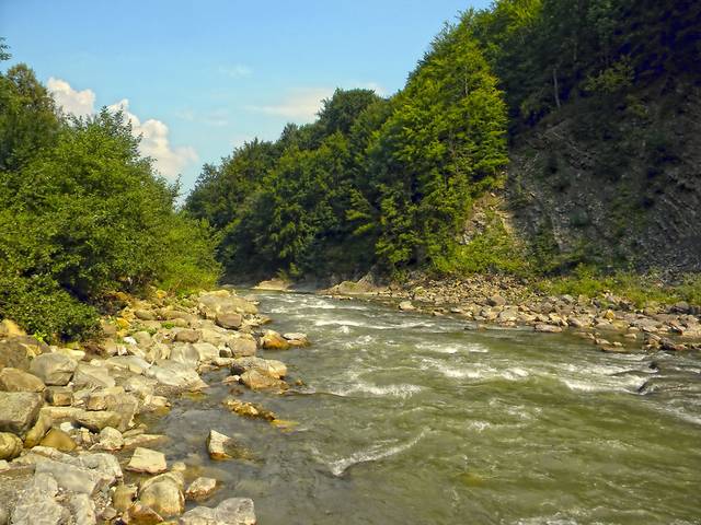 В Карпатах