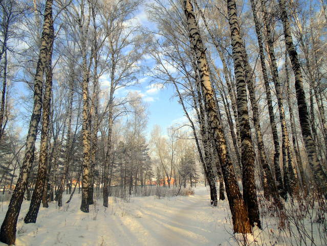 Ворота в сказку.