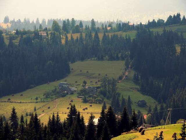 В Карпатах