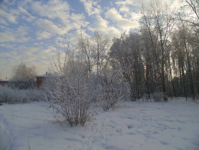 В гостях у зимы.
