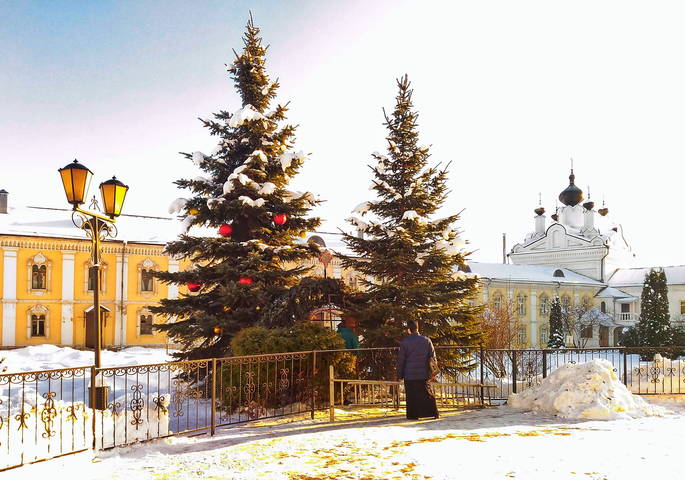 Угреша праздничная.