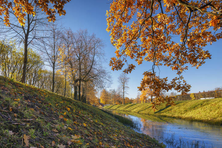 Царское Село в октябре.