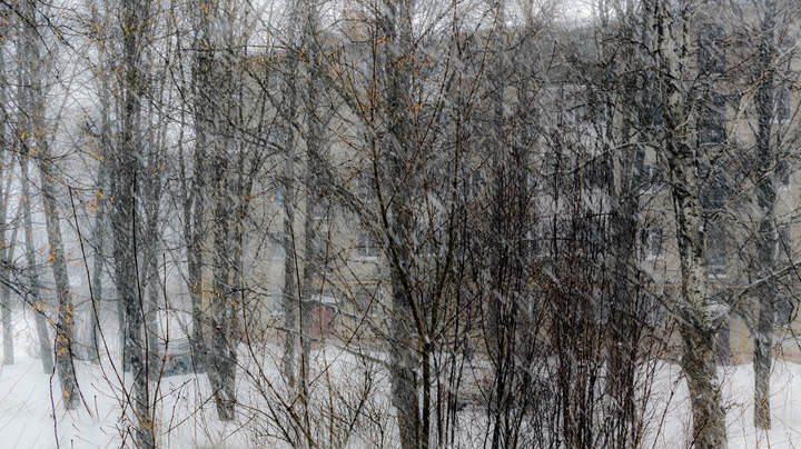 Метель (взгляд из окна).