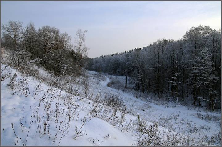 Снежное