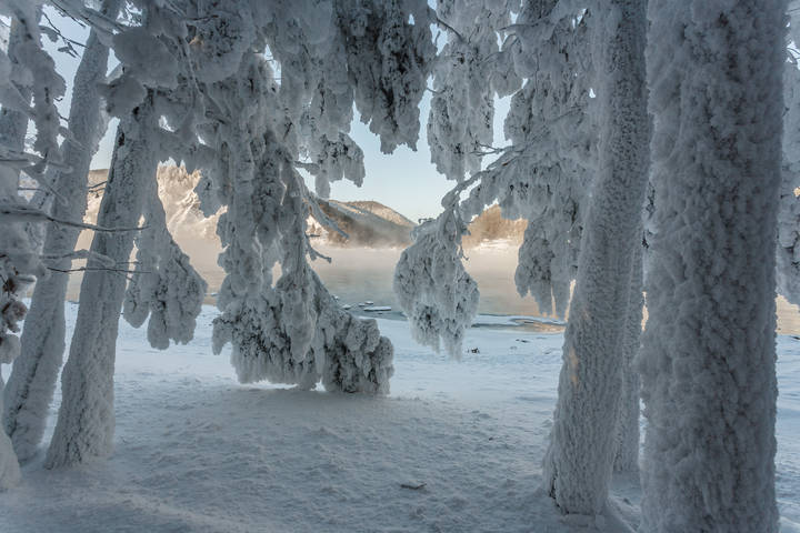 31 декабря
