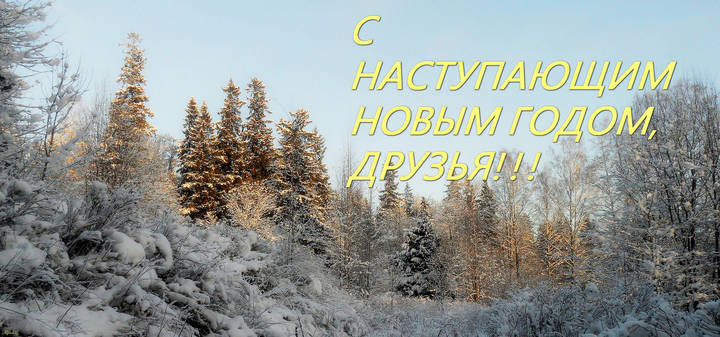 С НАСТУПАЮЩИМ НОВЫМ ГОДОМ, ДРУЗЬЯ!