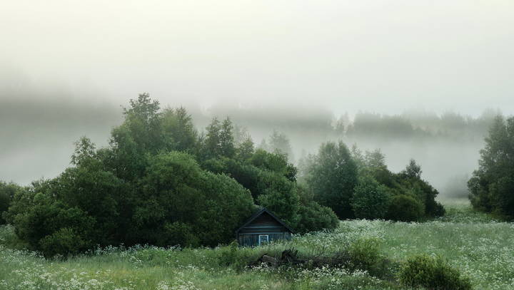 Утро