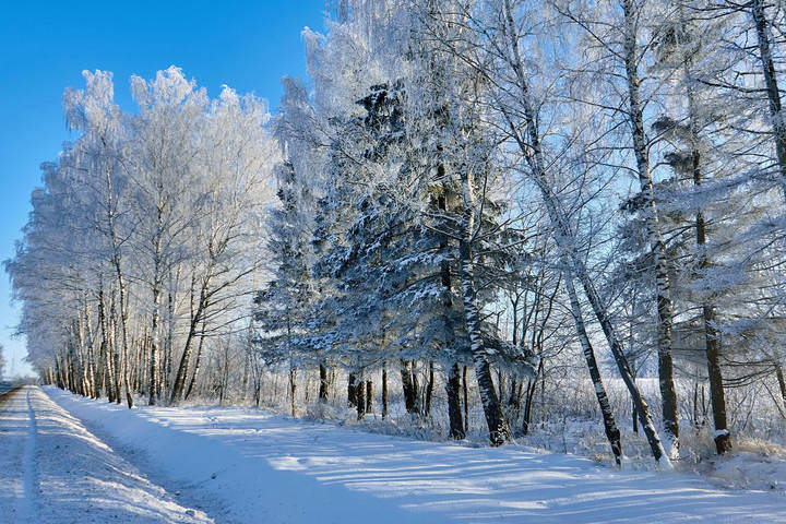 Зарисовка