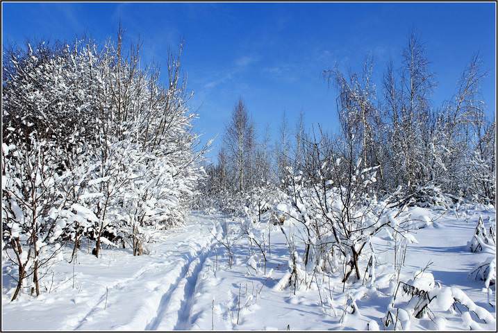 Зимние зарисовки.