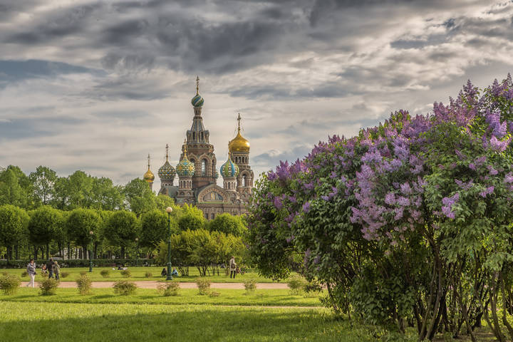 Мечты о весне