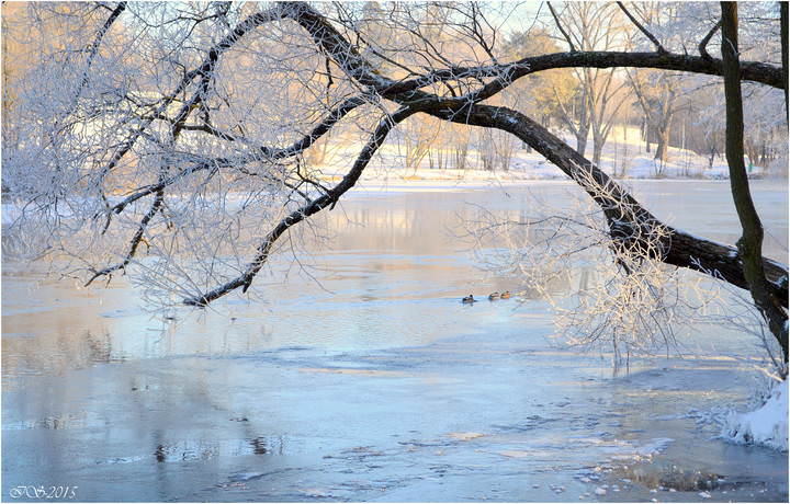 река замерзает