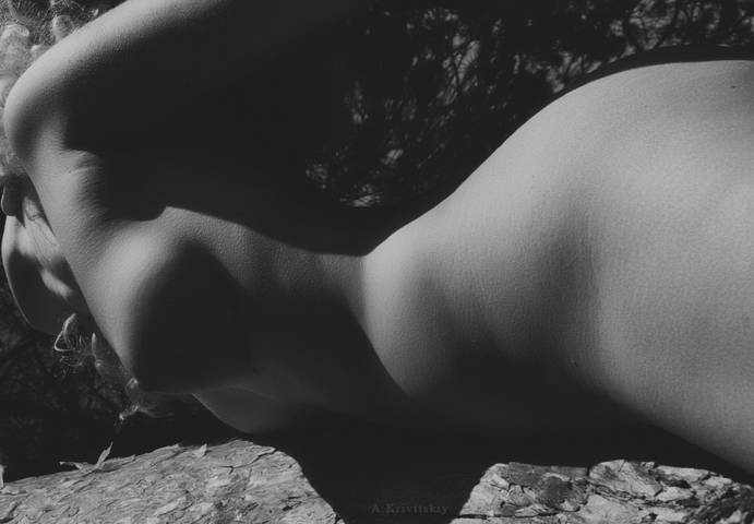 Natural geometry in photography. Summer mobile studio.