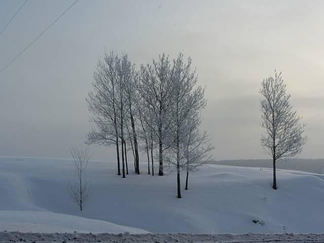 Утро морозное
