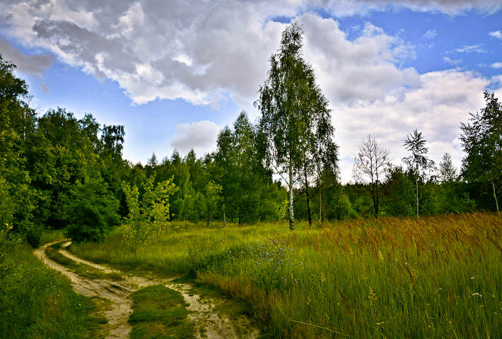 Дорога в лето)