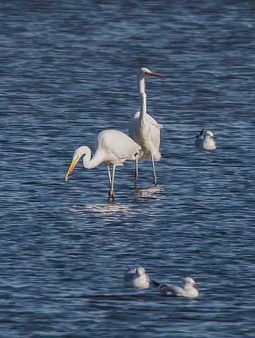 # 4