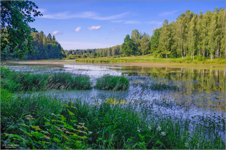 Абрамцево. Река Воря