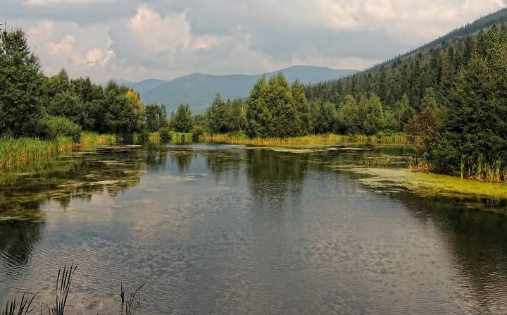 В Карпатах