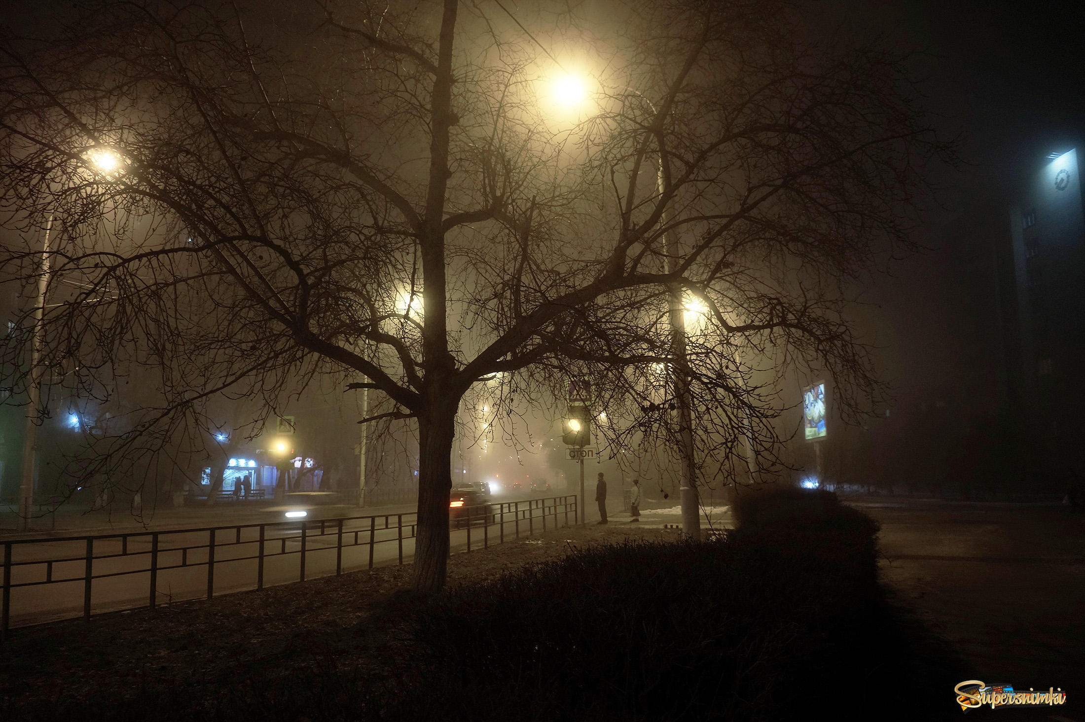 Вечер туман 2
