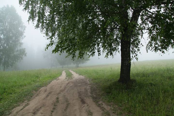 Утреннее