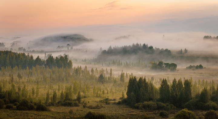 Цунами