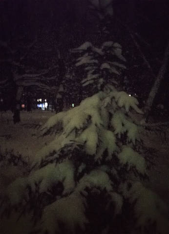 В Новогоднюю ночь.