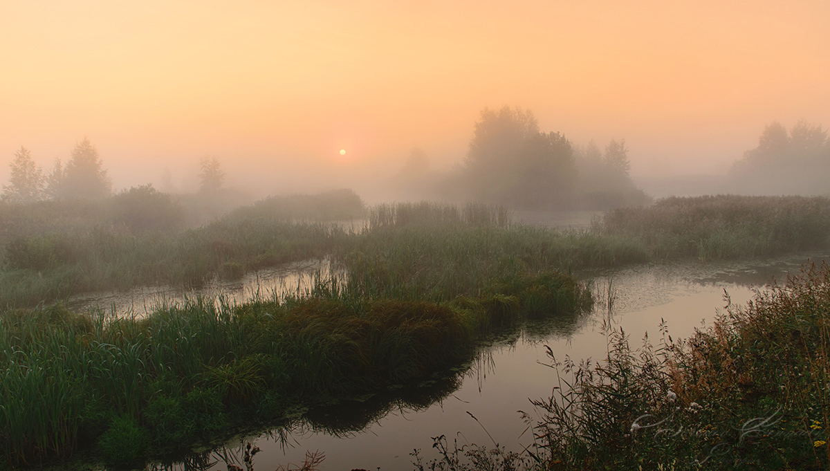 утро на Чернореченских прудах