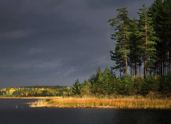 осеннее солнце.