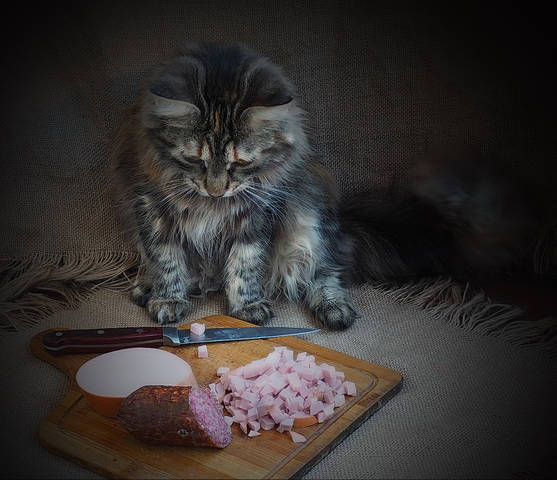 А чё я? Я ничё. Другие вон чё и ничё, а я чуть чё...