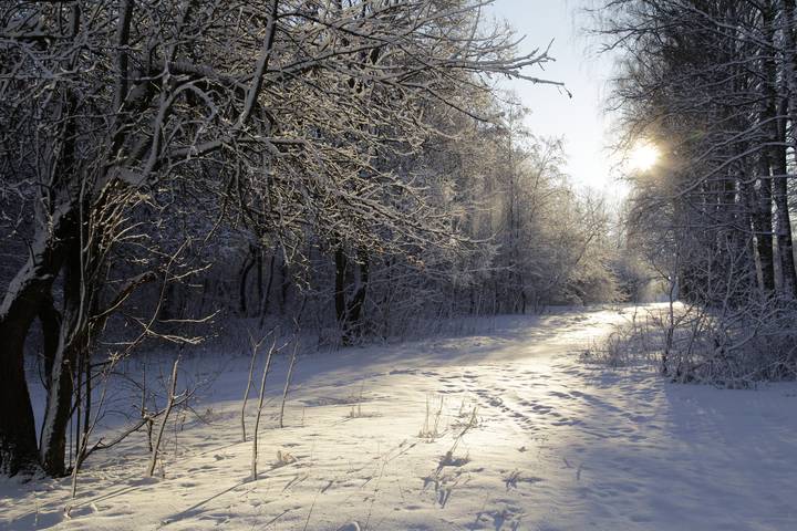 Морозец