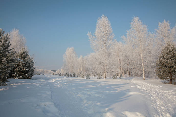 Парковы тропы 