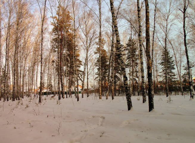 В последний день перед новым годом.