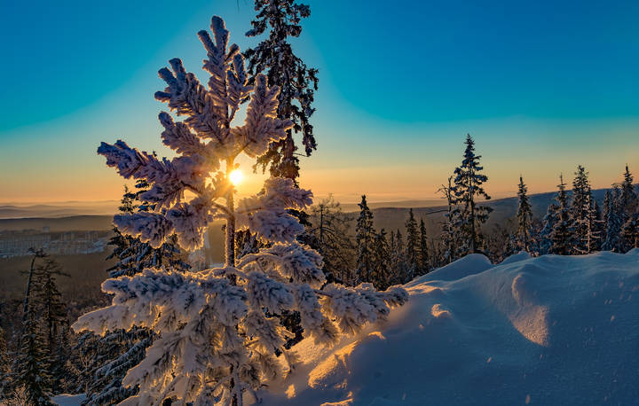 Утреннее солнце