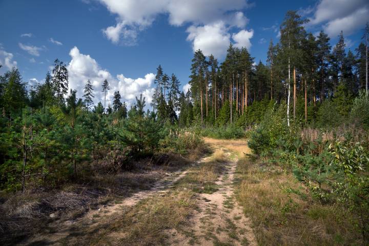 Тепло